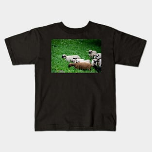 Sheep Kids T-Shirt